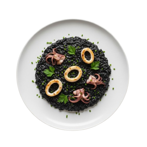 gemini 6 removebg preview gemini 6 removebg preview